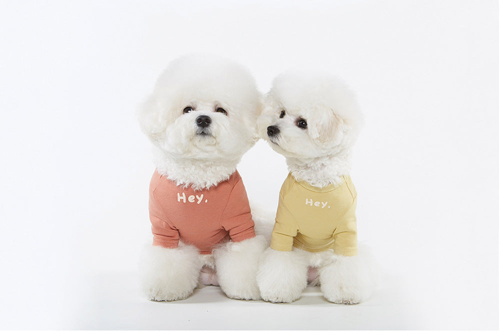【予約】メッセージTシャツ | Message Tshirt