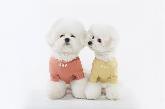 【予約】メッセージTシャツ | Message  Tshirt